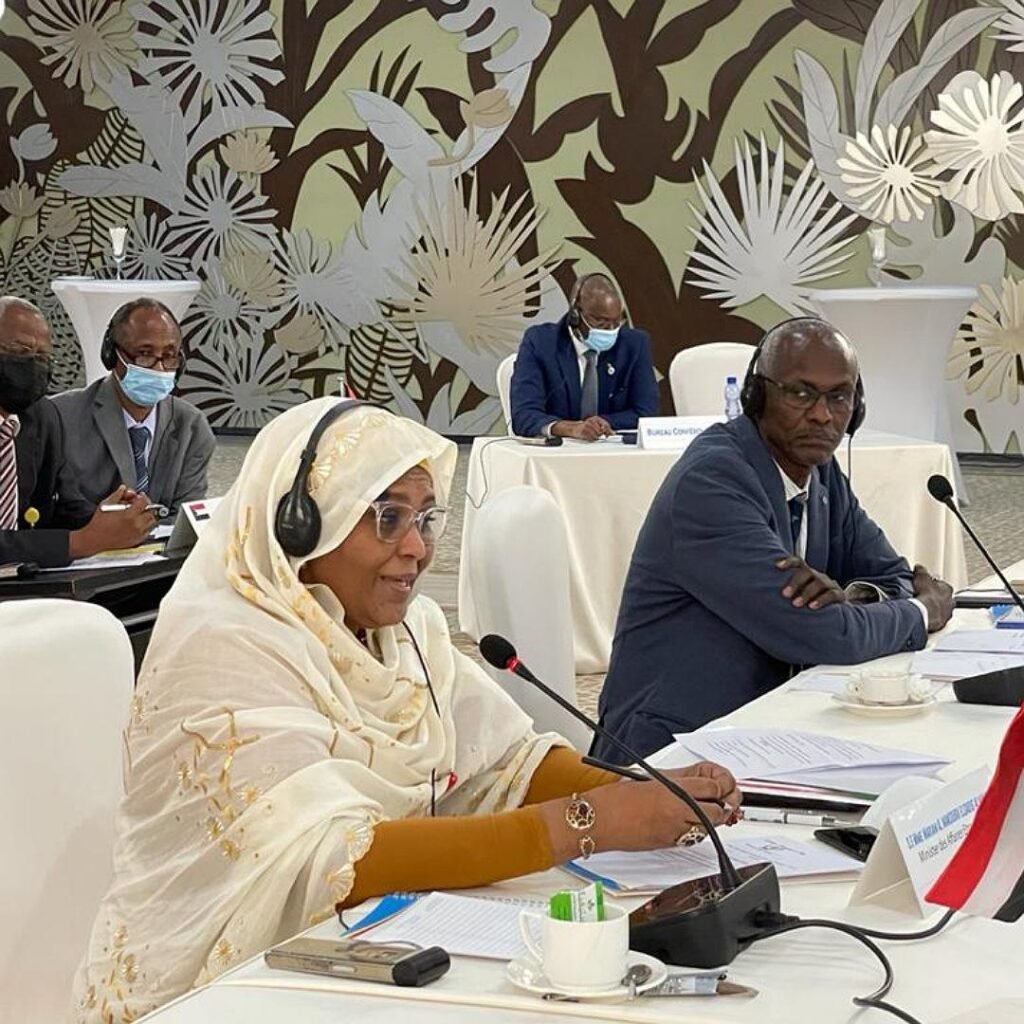 مفاوضات سد النهضة في الكونغو: السودان يتمسك برؤيته مفاوضات سد النهضة في الكونغو: السودان يتمسك برؤيته
