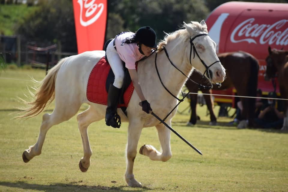 فارسة سودانية