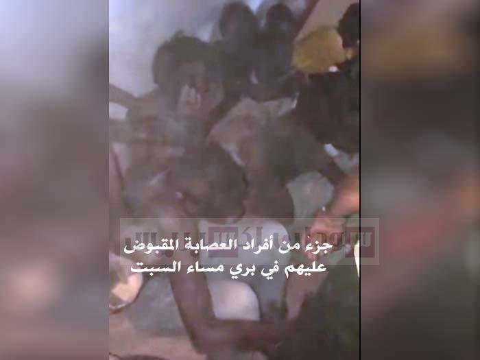 هجوم مسلح لعصابات النيقرز على بري.. استنفار عام واعتقال العشرات هجوم مسلح لعصابات النيقرز على بري.. استنفار عام واعتقال العشرات