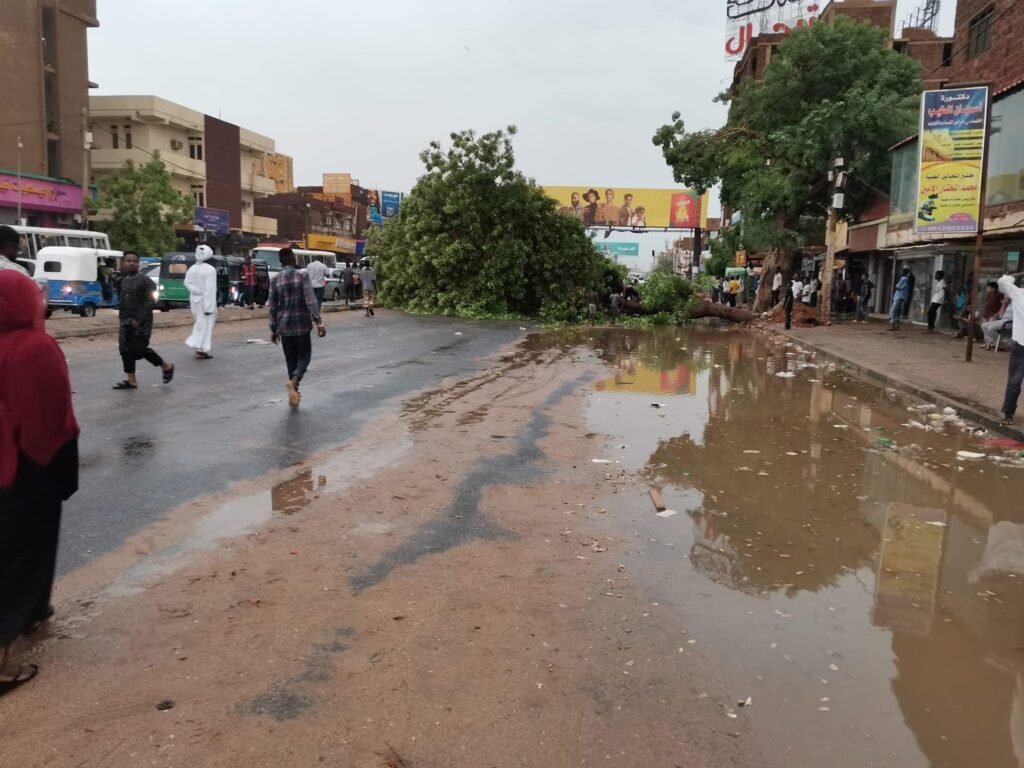 أمطار عاصفة في الخرطوم اقتلعت اللافتات والأشجار أمطار عاصفة في الخرطوم اقتلعت اللافتات والأشجار