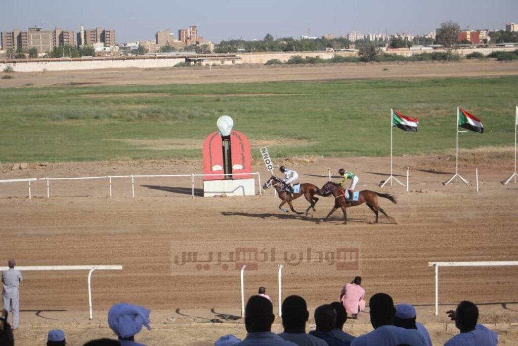 نادي سباق الخيل ينظم السباق الافتتاحي.. هذه تفاصيل النتائج نادي سباق الخيل ينظم السباق الافتتاحي.. هذه تفاصيل النتائج نادي سباق الخيل