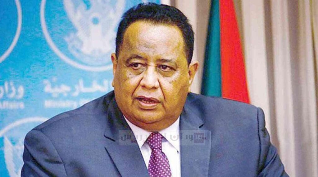 غندور : " الوقت للاصطفاف خلف الجيش و ليس للانقسامات "