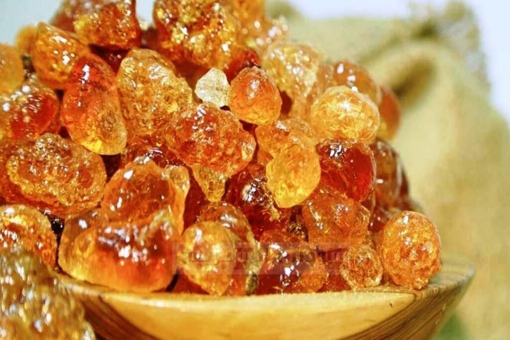 صمغ القضارف يتحدى الحرب : 350 ألف طن إلى أوروبا وأمريكا