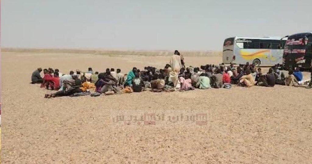 نازحو المثلث يواجهون الموت البطيء وشبكة الأطباء تدق ناقوس الخطر نازحو المثلث يواجهون الموت البطيء وشبكة الأطباء تدق ناقوس الخطر