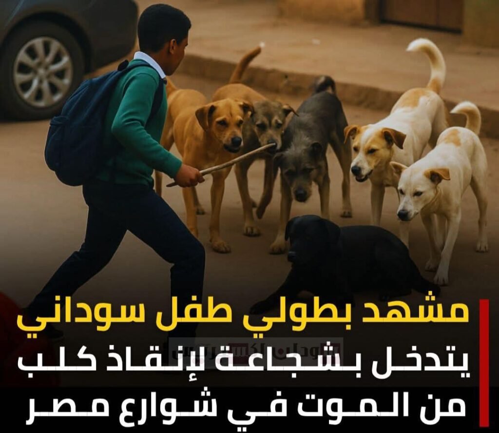 طفل سوداني ينقذ كلبًا من موت محقق في شوارع مصر طفل سوداني ينقذ كلبًا من موت محقق في شوارع مصر
