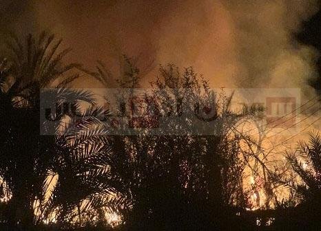 حريق نخيل السودان