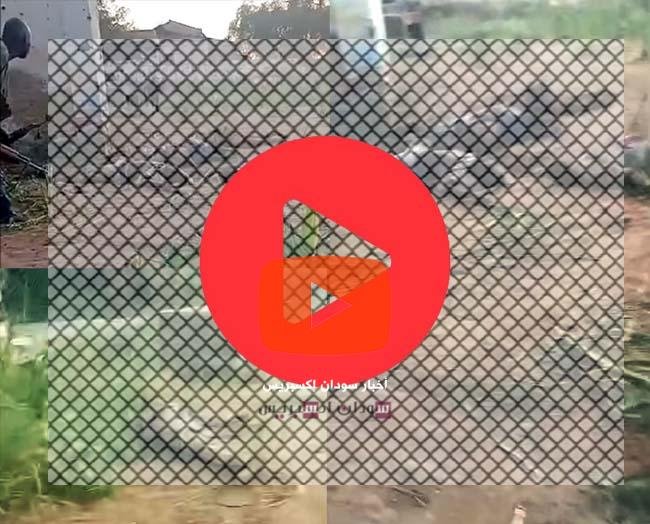 فيديو: تفاصيل كميـن محكم نصبه الجيش للملـيشـيا في مدينة الفاشر فيديو: تفاصيل كميـن محكم نصبه الجيش للملـيشـيا في مدينة الفاشر مدينة الفاشر