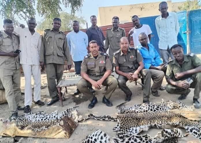 جلد نمر في السودان