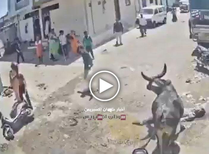 فيديو صادم من الهند.. بقرة “مقدسة” تفتك برجل في وسط الشارع ومحاولات يائسة لإنقاذه بالماء والحجارة فيديو صادم من الهند.. بقرة "مقدسة" تفتك برجل في وسط الشارع ومحاولات يائسة لإنقاذه بالماء والحجارة بقرة في الهند